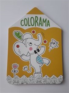 Obrazek Colorama Słonik
