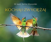 Perełka 23... - Opracowanie Zbiorowe -  Polnische Buchandlung 
