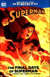 Bild von The Final Days of Superman
