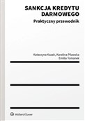 Sankcja kr... - Katarzyna Kozak, Karolina Pilawska, Emilia Tomanek - buch auf polnisch 