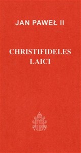Obrazek Christifideles laici