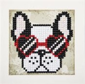 Cool Sunni... -  fremdsprachige bücher polnisch 