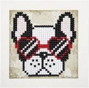 Obrazek Cool Sunnies Quick Dotz