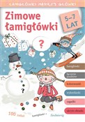 Polnische buch : Zimowe łam... - Tamara Michałowska