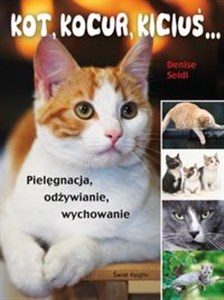 Bild von Kot, kocur, kiciuś… Pielęgnacja, odżywianie, wychowanie