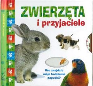 Obrazek Zwierzęta i przyjaciele Kto znajdzie moje koleżanki papużki?