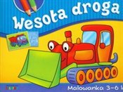 Wesoła dro... - Grażyna Misior - buch auf polnisch 