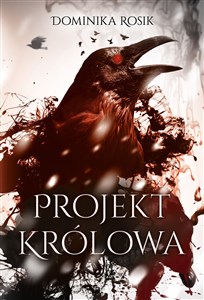 Bild von Projekt Królowa