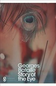 Story of t... - Georges Bataille -  Książka z wysyłką do Niemiec 