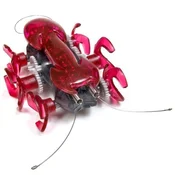 Książka : Hexbug Mró...