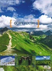 Bild von Góry Polski