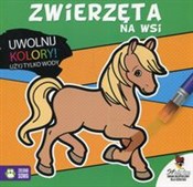Polska książka : Uwolnij ko... - Maria Chudoba