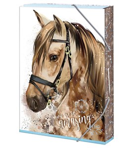 Obrazek Teczka szkolna A4 You are amazing ARGUS