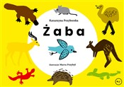 Książka : Żaba - Katarzyna Przyborska