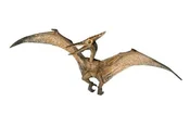 Pteranodon... -  fremdsprachige bücher polnisch 