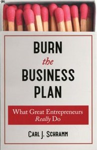 Bild von Burn The Business Plan