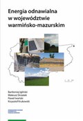 Energia od... - Bartłomiej Igliński, Mateusz Skrzatek, Paweł Iwański, Krzysztof Krukowski -  polnische Bücher