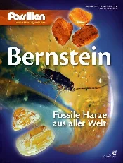 Polska książka : BERNSTEIN