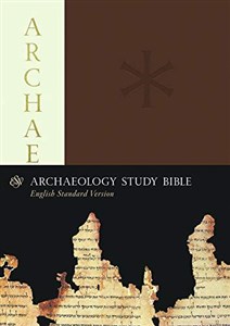 Bild von archeology study bible