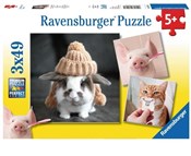 Polnische buch : Puzzle 3x4...