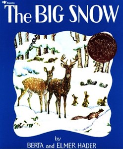 Bild von The Big Snow