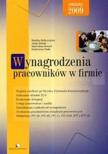 Bild von Wynagrodzenia pracowników w firmie