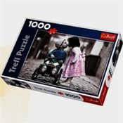 Książka : Puzzle 100...