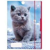 Zeige Details für TECZKA RYS.A4 Z GUM.KOT Książka : TECZKA RYS...