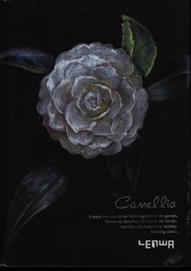 Obrazek Notes szkicownik A6 Kamelia