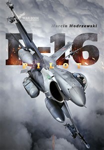 Bild von Pilot F-16. Historia dowódcy 10 Eskadry Lotnictwa Taktycznego w Łasku