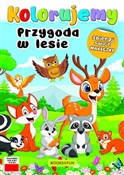 Zobacz : Przygoda w... - Opracowanie zbiorowe