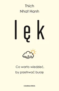 Obrazek Lęk Co warto wiedzieć, by przetrwać burzę
