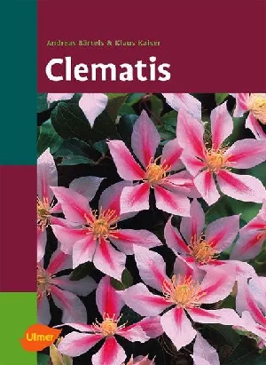 Obrazek BÄRTELS, A: CLEMATIS