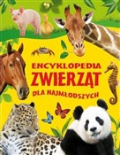 Encykloped... - J. A. Aleksiejewa, J. A. Guriczewa -  Polnische Buchandlung 