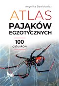 Atlas pają... - Angelika Dawidowicz - buch auf polnisch 