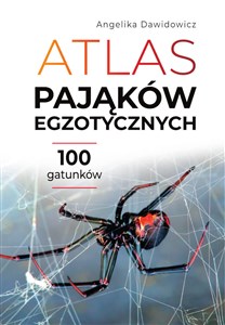 Bild von Atlas pająków egzotycznych. 100 gatunków