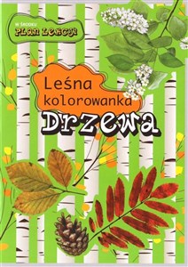 Obrazek Drzewa. Leśna kolorowanka