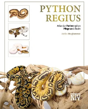 Obrazek BROGHAMMER, S: PYTHON REGIUS