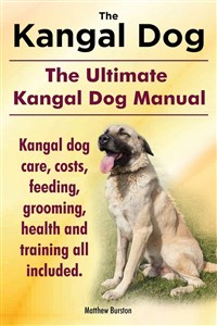 Obrazek Kangal Dog. the Ultimate Kangal Dog Manual....