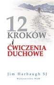 12 kroków ... - Jim Harbaugh -  polnische Bücher