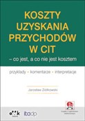 Polska książka : Koszty uzy... - Jarosław Ziółkowski