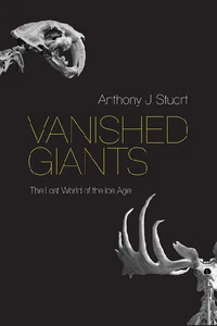 Obrazek STUART, A: VANISHED GIANTS