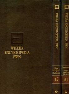 Obrazek Wielka encyklopedia PWN Tom 16-31