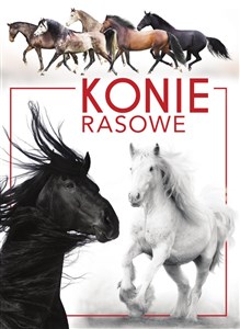 Bild von Konie rasowe