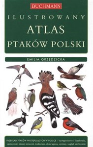 Bild von Ilustrowany atlas ptaków polski