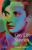 Polska książka : Gay Life S... - Robert Aldrich