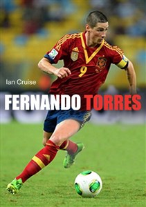 Obrazek Fernando Torres