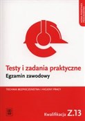 Książka : Testy i za... - Grażyna Ozorowska, Tomasz Sadowski