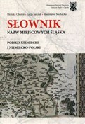 Słownik na... - Monika Choroś, Łucja Jarczak, Stanisława Sochacka -  polnische Bücher