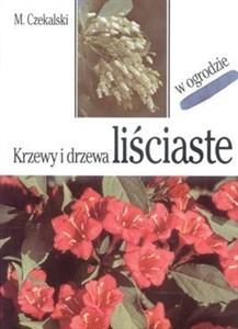 Bild von Krzewy i drzewa liściaste